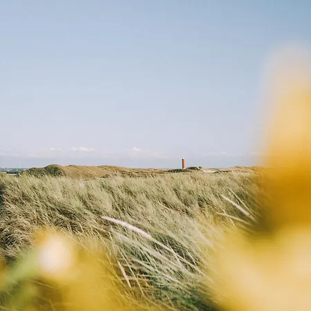 Шале Luttikduin Nr 10 - Aan Zee Каллантсог