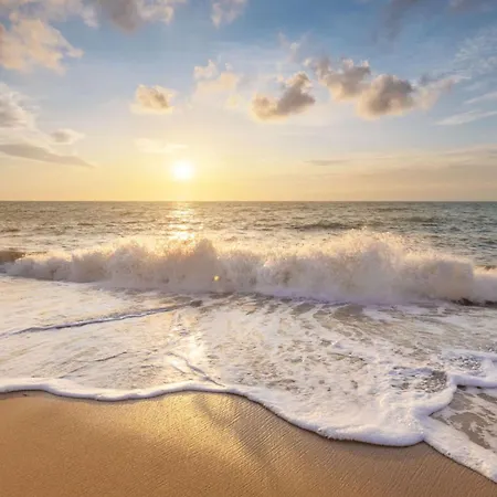 Luttikduin Nr 10 - Aan Zee Chalé Callantsoog
