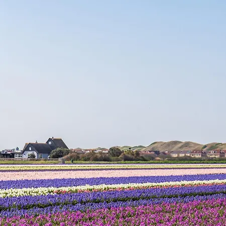 Luttikduin Nr 10 - Aan Zee *