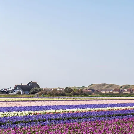 Luttikduin Nr 10 - Aan Zee Callantsoog